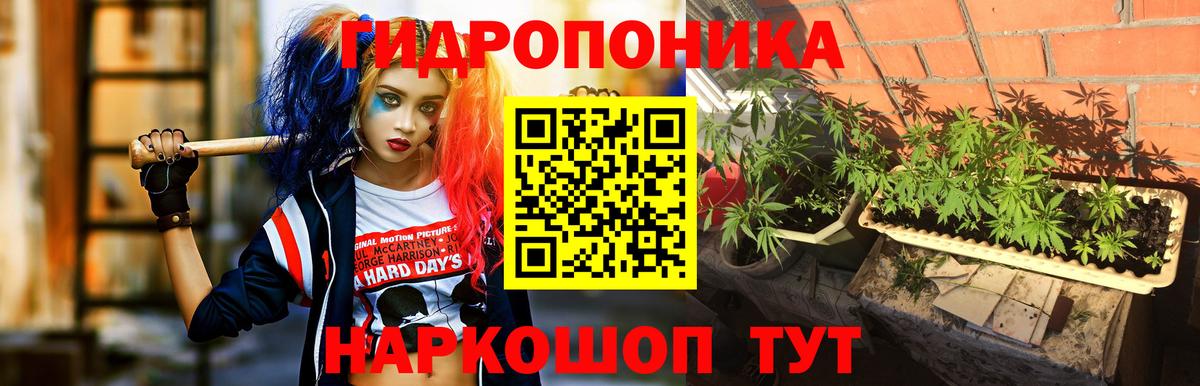 Клинцы  Марихуана AK-47  Шишки марихуана OG Kush  Марихуана MAZAR  Вход с VPN  Бошки Шишки планчик 